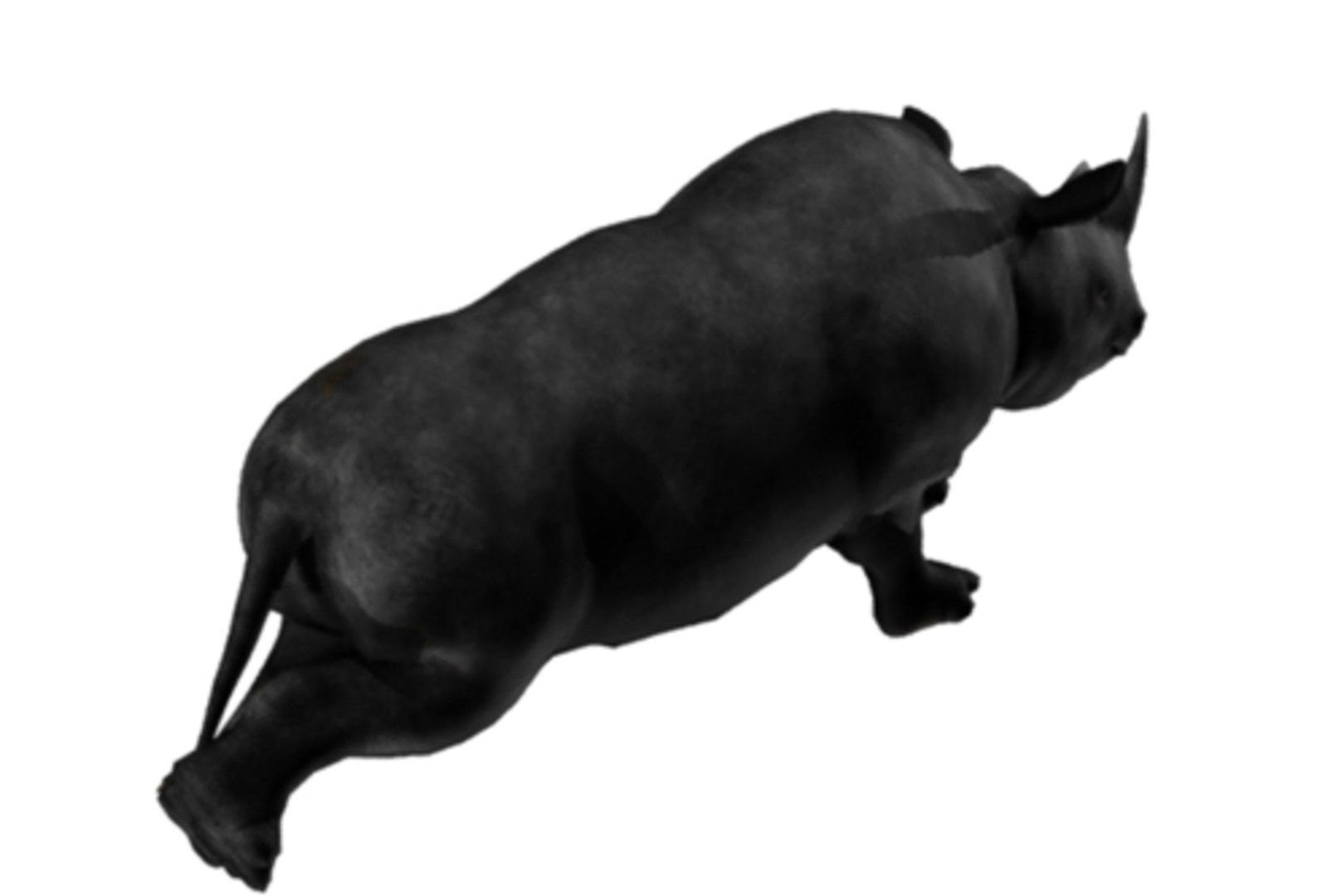 3D rhinoceros rigged animations model https://p.turbosquid.com/ts-thumb/je/osbaha/1T1ozIHD/4/jpg/1547724590/1920x1080/fit_q87/d6486c1e92a51cd9f60c828231de6f3656afb378/4.jpg