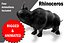 Rhino Rigged和Animated
