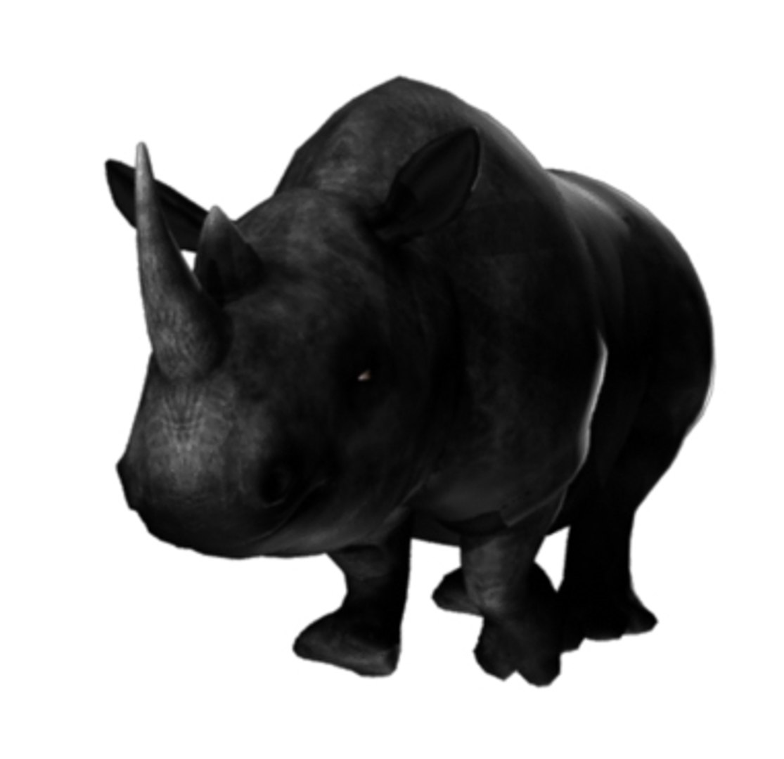 3D rhinoceros rigged animations model https://p.turbosquid.com/ts-thumb/je/osbaha/jMPwGJ5B/3/jpg/1547724576/1920x1080/fit_q87/435af023df8b616d72df94a6cfa5d13ccc1b5c87/3.jpg