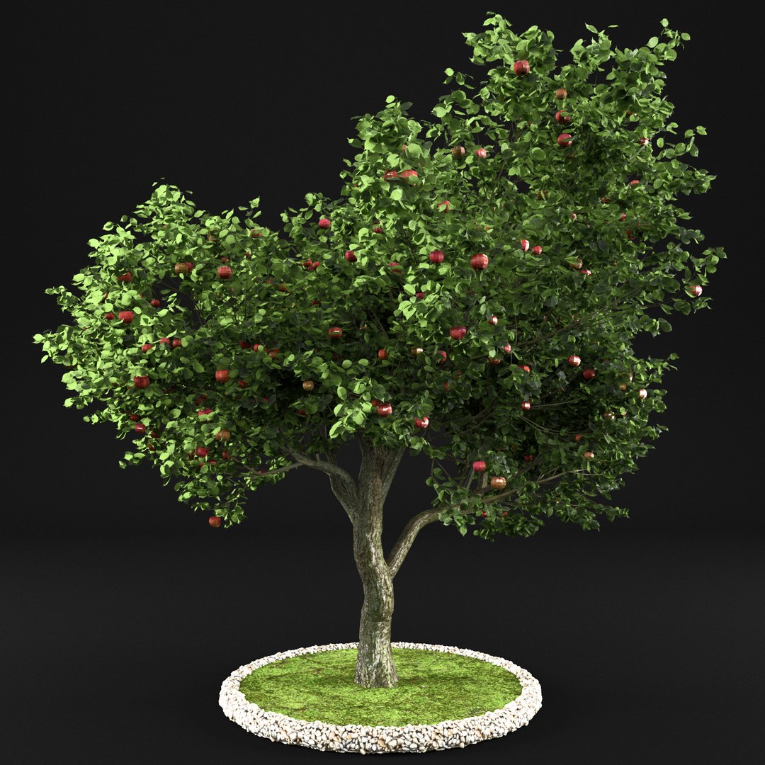 3D apple tree - TurboSquid 1159261