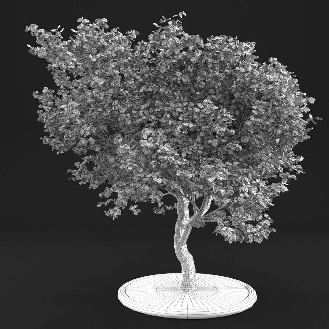 3D apple tree https://p.turbosquid.com/ts-thumb/je/tvtBZF/ZsNDFtfn/10057/png/1495364147/1920x1080/fit_q87/4bfbafb007f0108137816c82c323aa2288ea6297/10057.jpg