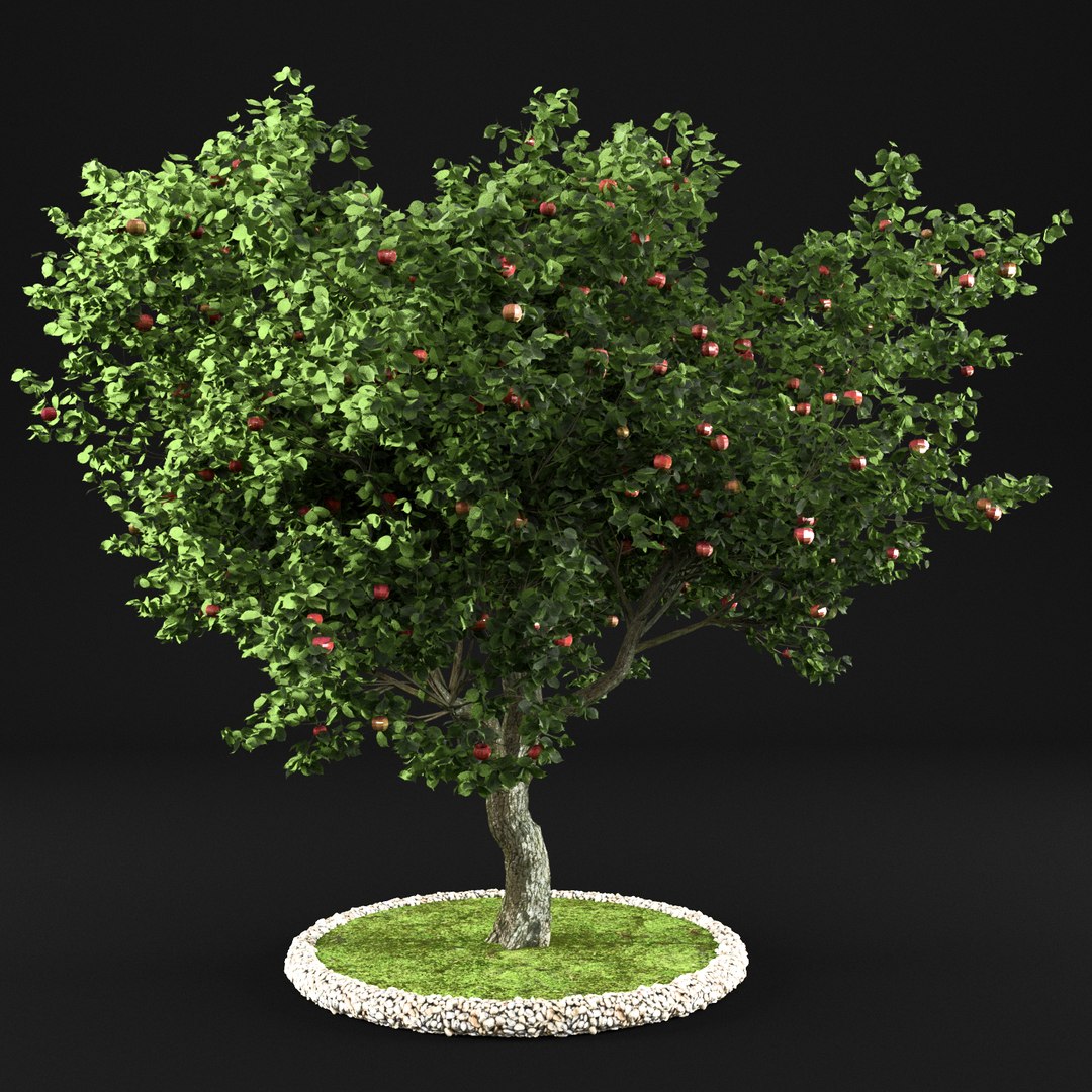 3D apple tree - TurboSquid 1159261