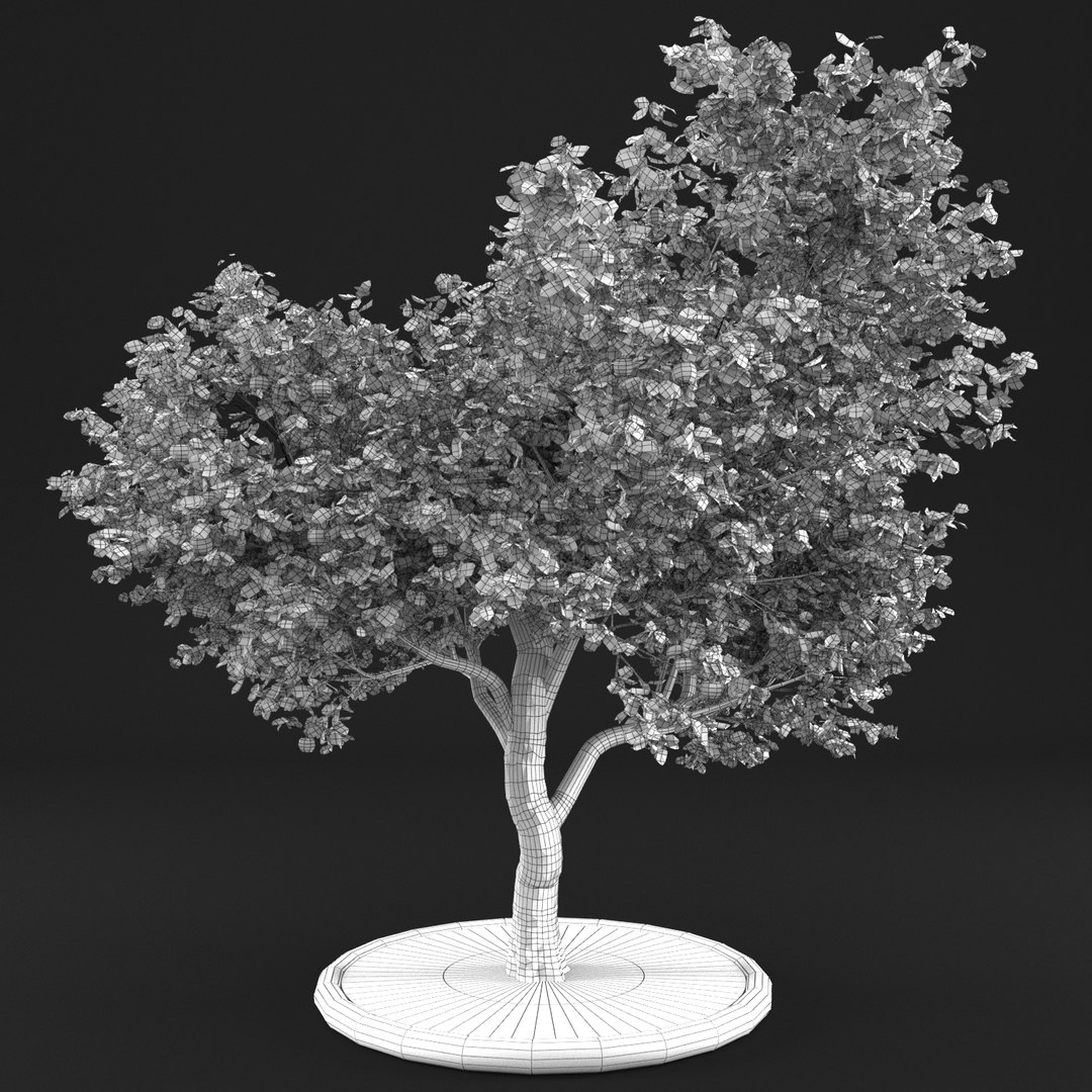 3D apple tree https://p.turbosquid.com/ts-thumb/je/tvtBZF/uqA5CvTl/10063/png/1495364147/1920x1080/fit_q87/098e7a5b6d1d0e614c4ebce2c91632bccc77451d/10063.jpg