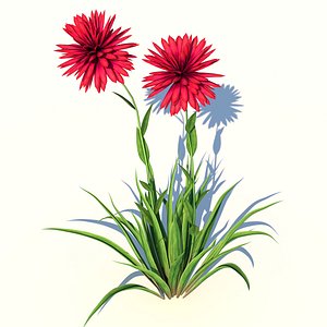 Pisacan Flower