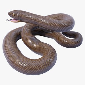 Animated Garter Snake - 3D Model by Dibia Digital