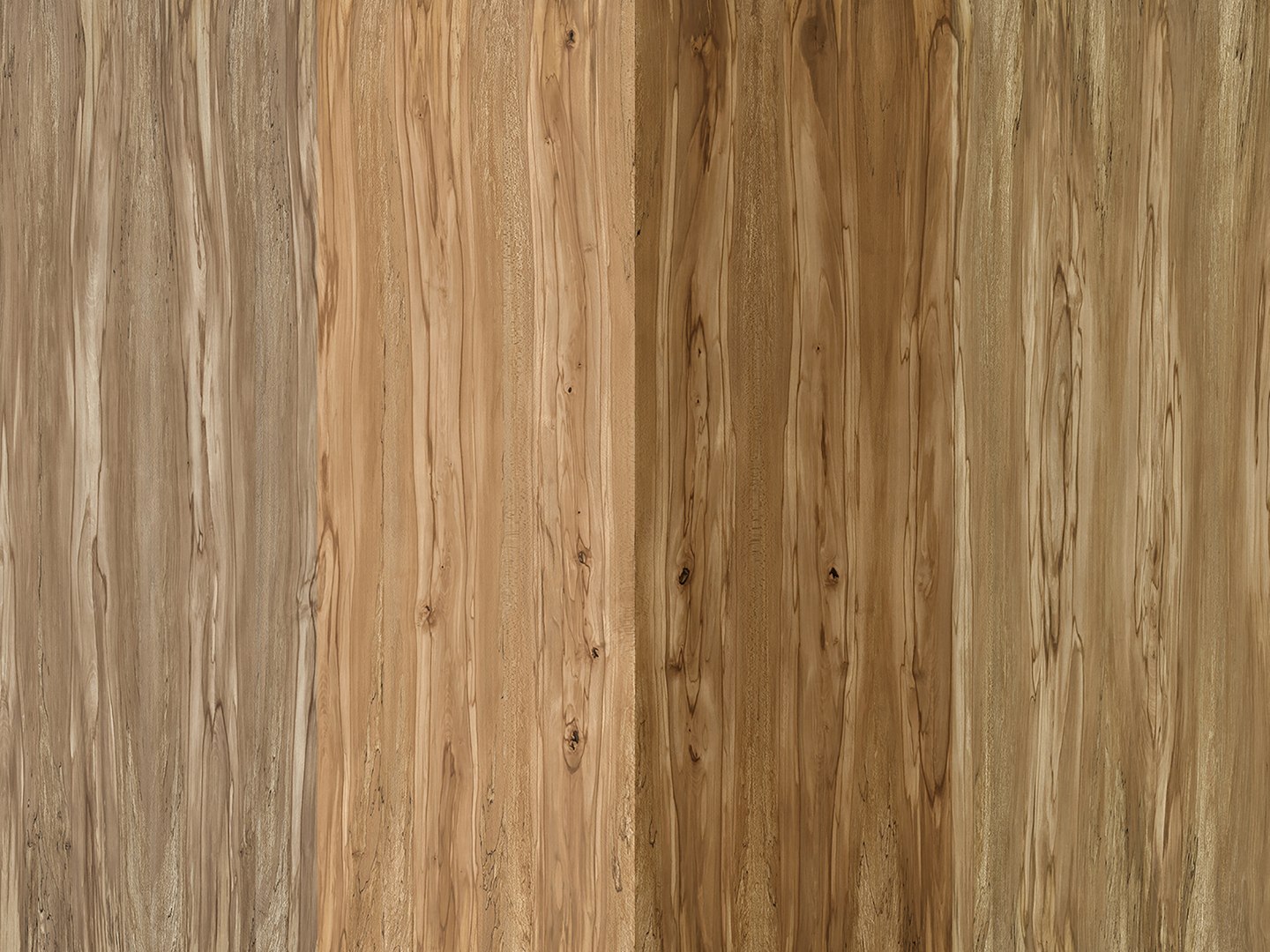 Beech 02 Veneer 3D model - TurboSquid 2166561