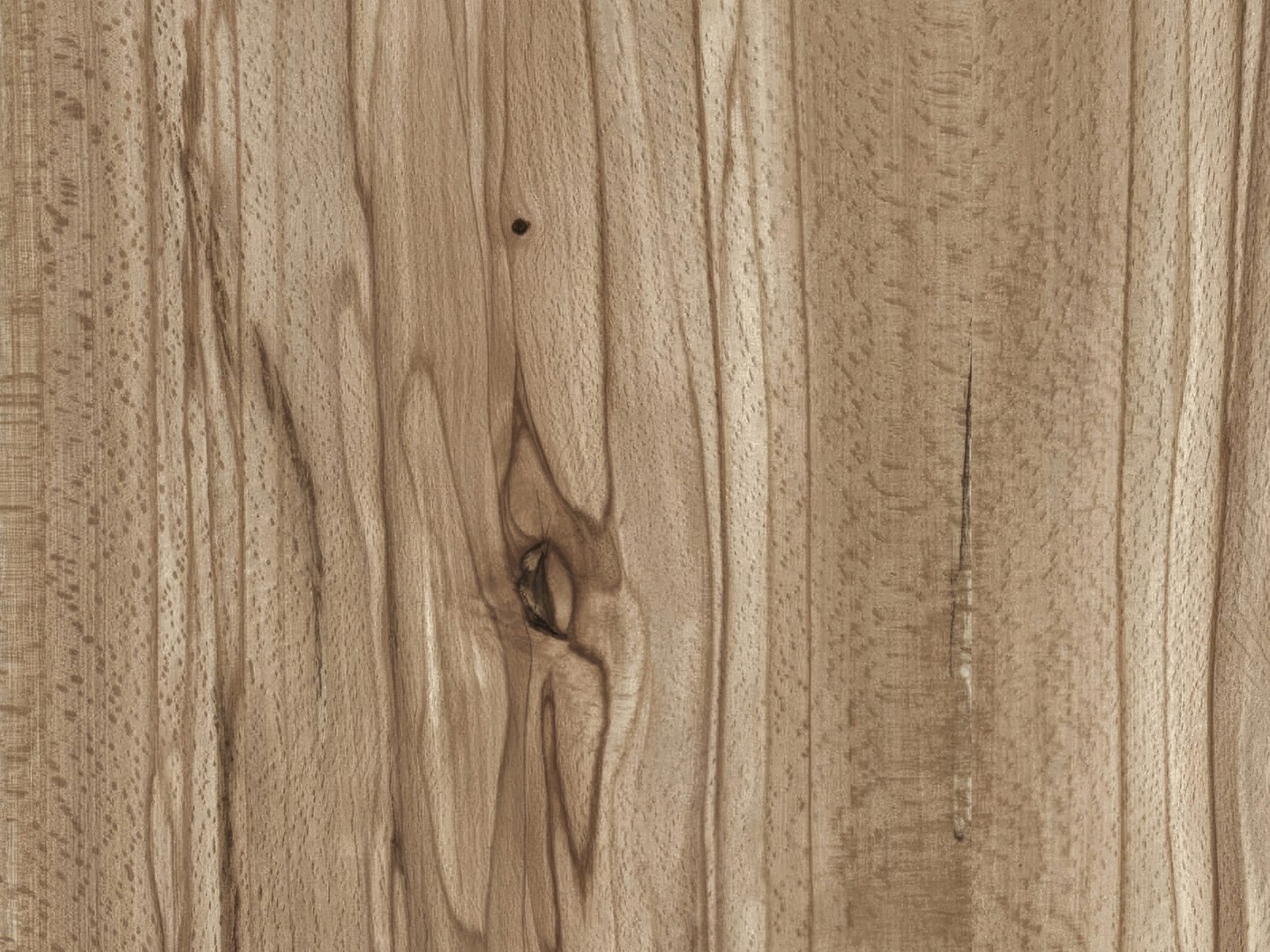 Beech 02 Veneer 3D model - TurboSquid 2166561