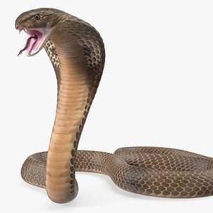 Beige Skin Cobra Rigged