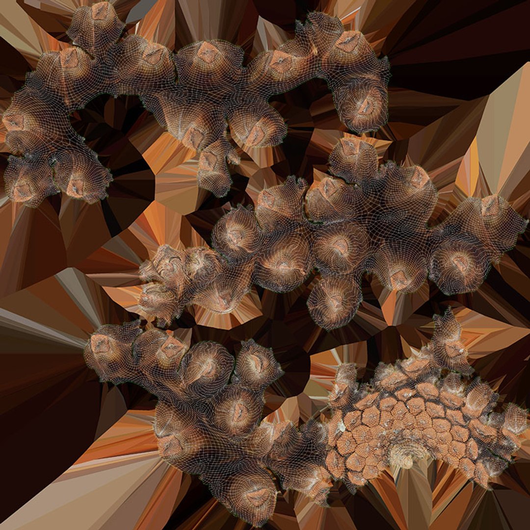 Pine Cone Collection 2 3D model https://p.turbosquid.com/ts-thumb/jf/iZMIBk/GJ/pinecone02_d0004/jpg/1731594682/1920x1080/fit_q87/d1e2af63aecb67ca7942036e7328977a22651269/pinecone02_d0004.jpg
