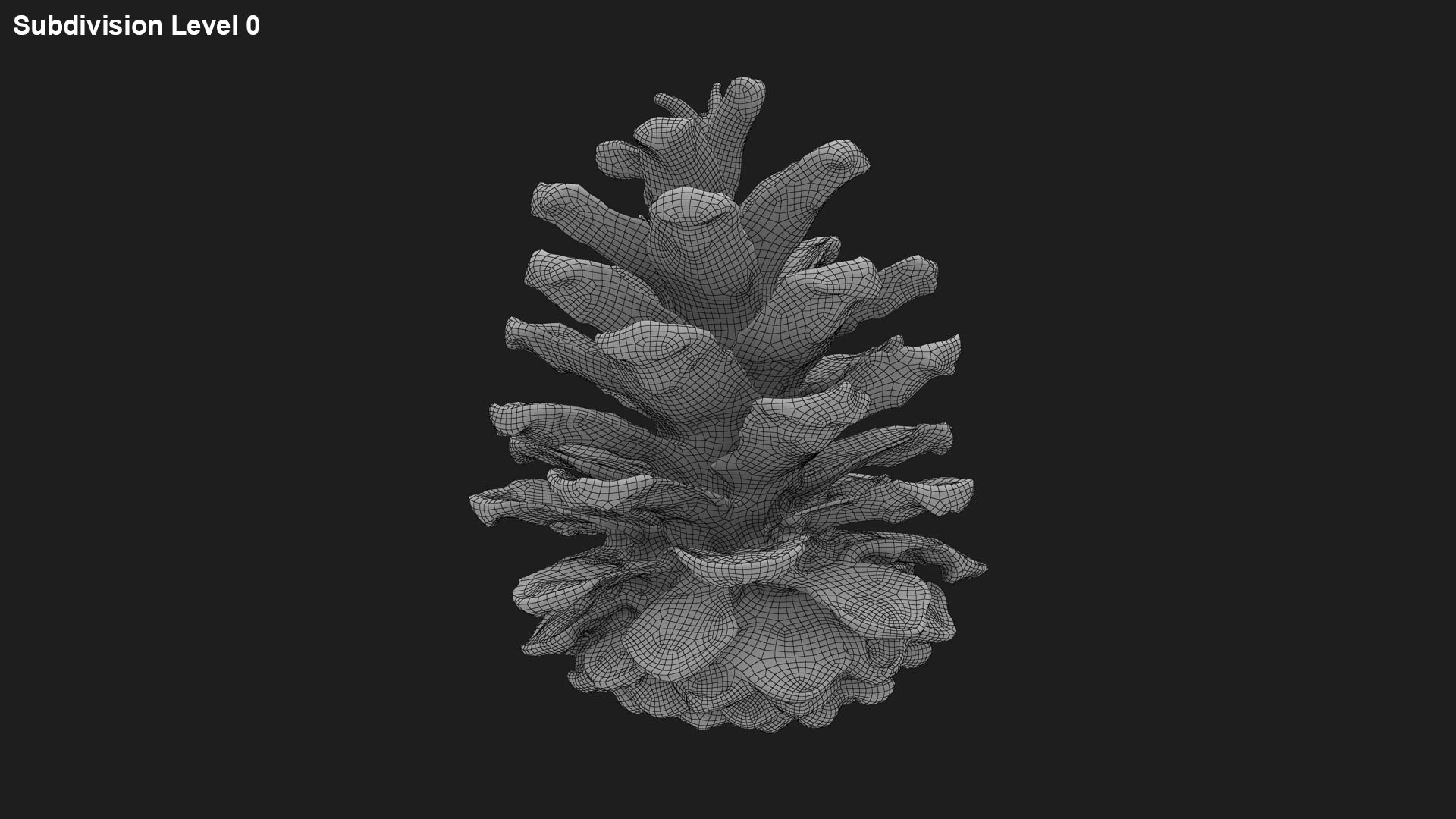 Pine Cone Collection 2 3D model https://p.turbosquid.com/ts-thumb/jf/iZMIBk/Lg/pinecone04_g0001/jpg/1731594722/1920x1080/fit_q87/5d38998d26de8b2a649c6dd9ed8281f39e63a780/pinecone04_g0001.jpg