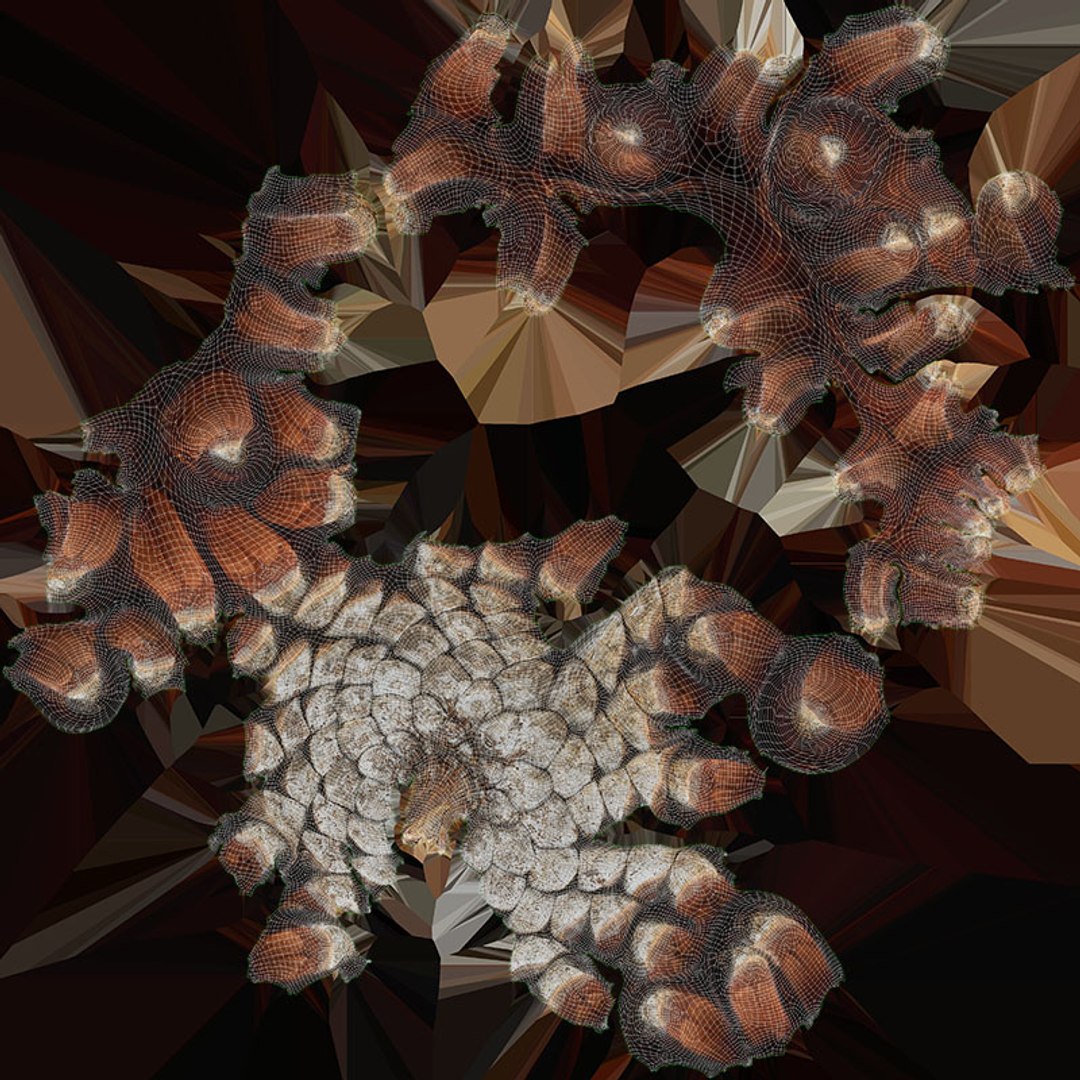 Pine Cone Collection 2 3D model https://p.turbosquid.com/ts-thumb/jf/iZMIBk/Lz/driedpinecone04_d0004/jpg/1731594681/1920x1080/fit_q87/16862915b19b5f307b9cbcc98960cf5a9dc553f9/driedpinecone04_d0004.jpg