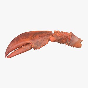 3D cooked lobster model
