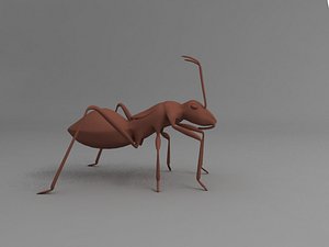 Ant