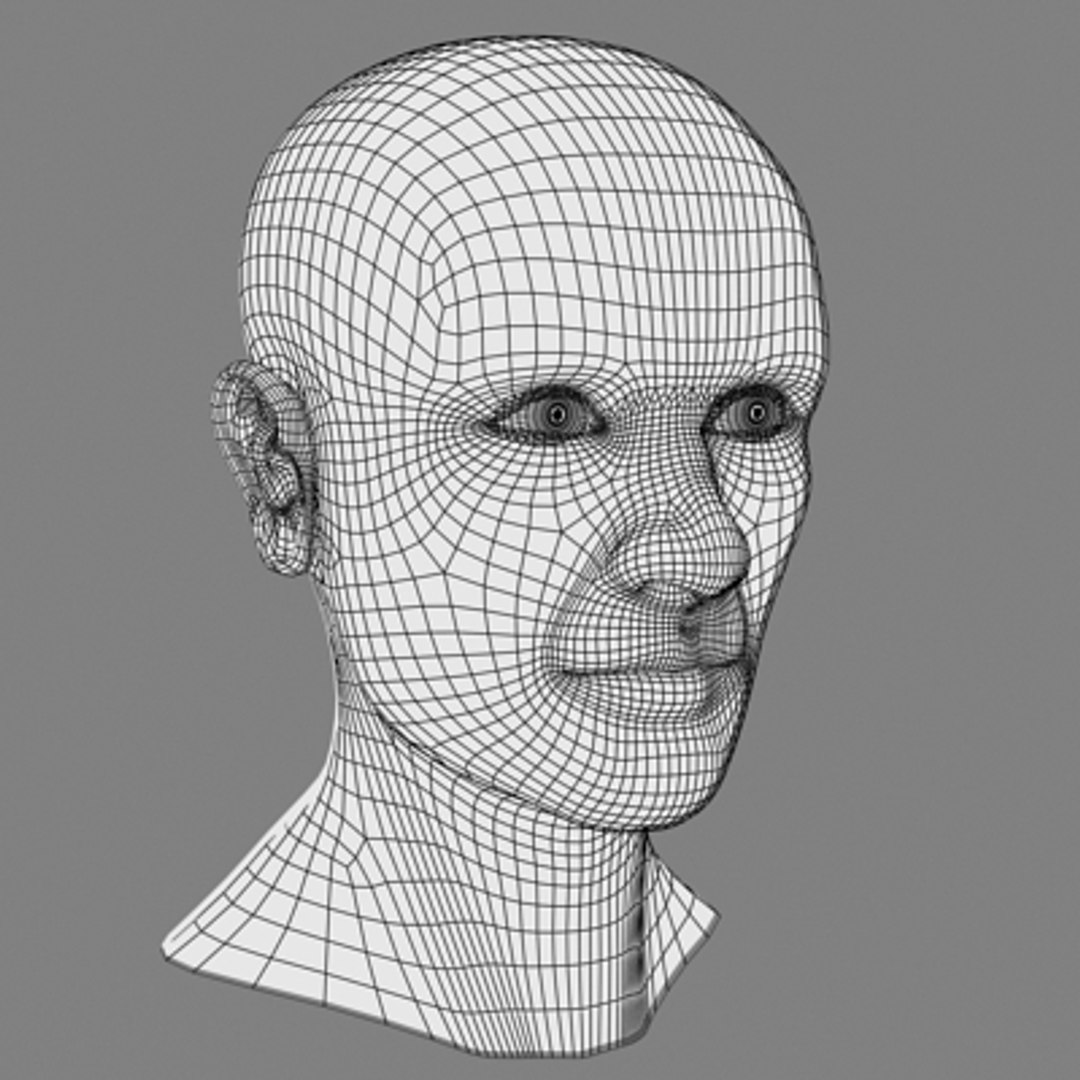 3d Male Head