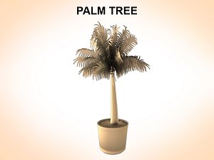palms plant 3d model