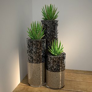 3D succulents glass pot model