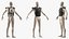 3D model Catcher Chest Protector on Mannequin Black