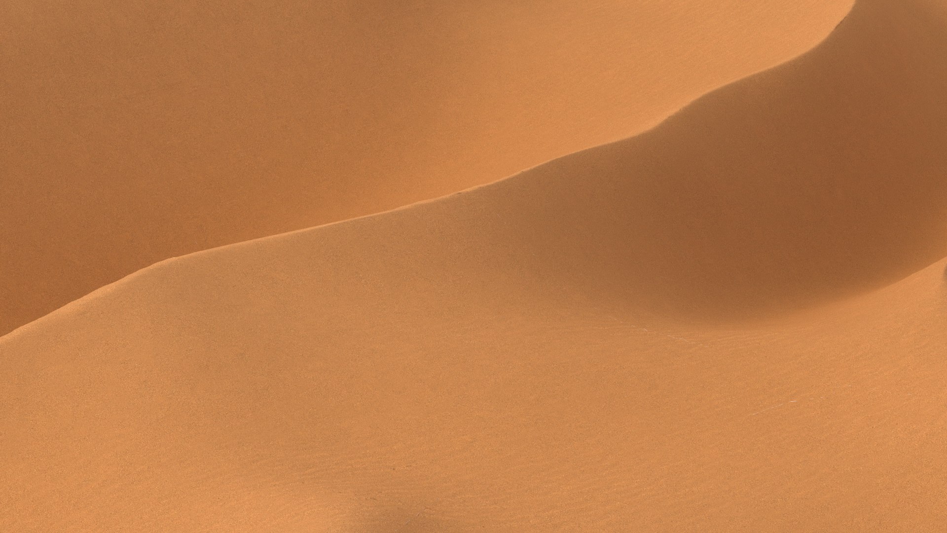 Desert Sahara 3D model https://p.turbosquid.com/ts-thumb/jg/63D1TK/6t/desertsaharamb3dmodel013/jpg/1648729815/1920x1080/fit_q87/f590cdf2787e0163c36a6c08555c882ebab86316/desertsaharamb3dmodel013.jpg