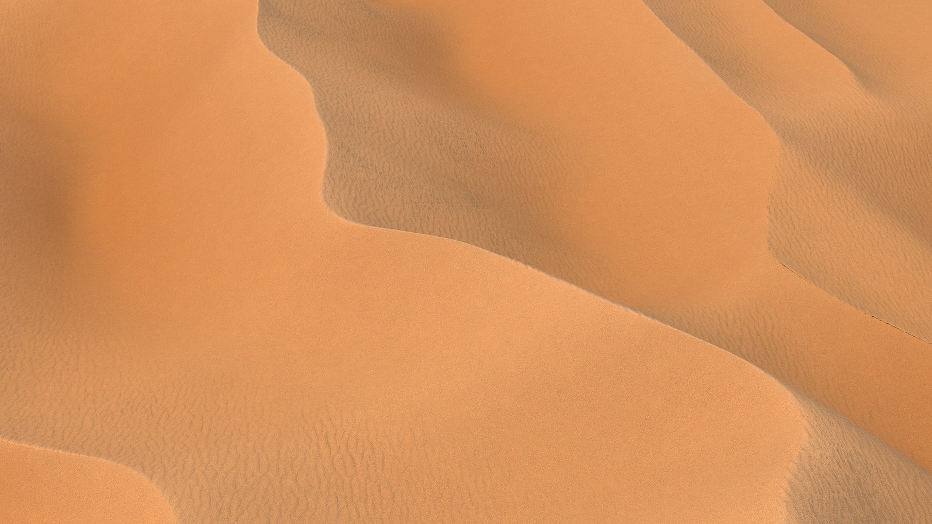 Desert Sahara 3D model https://p.turbosquid.com/ts-thumb/jg/63D1TK/8S/desertsaharamb3dmodel005/jpg/1648729787/1920x1080/fit_q87/41accdb4898457dbf62d51d078f6d8840b0e631f/desertsaharamb3dmodel005.jpg