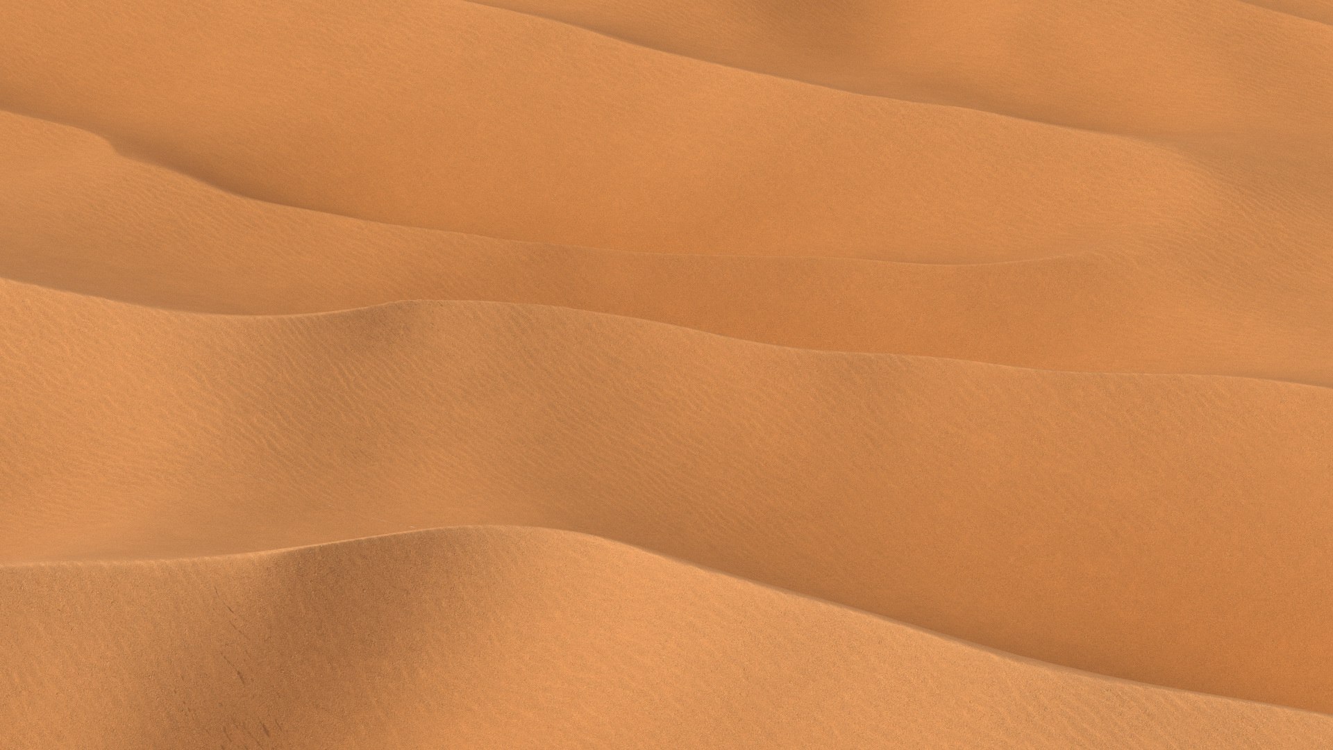 Desert Sahara 3D model https://p.turbosquid.com/ts-thumb/jg/63D1TK/FT/desertsaharamb3dmodel014/jpg/1648729818/1920x1080/fit_q87/d01b049f476e4ecab74e17e41ecdfb944eb632df/desertsaharamb3dmodel014.jpg