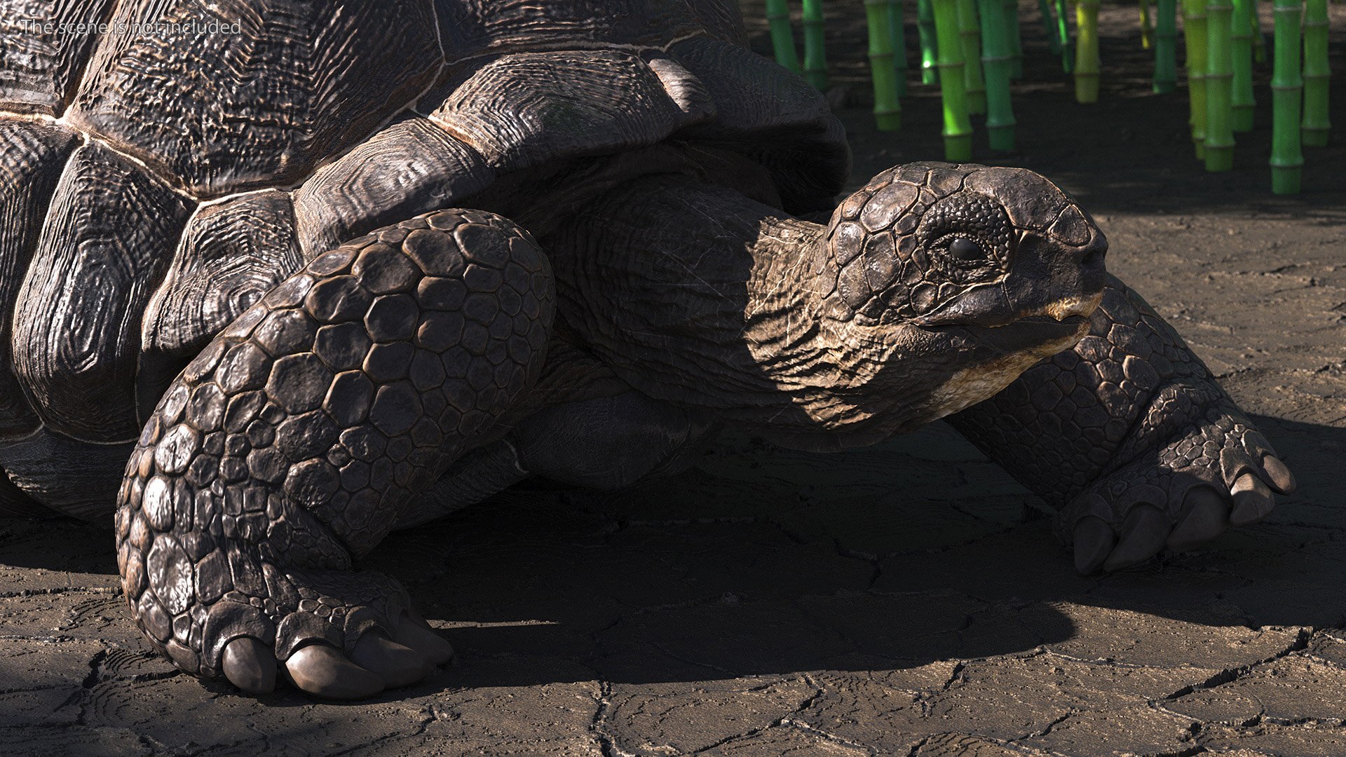 3D Giant Turtle Lying Down Pose https://p.turbosquid.com/ts-thumb/jg/Bbch7L/3Y/giantturtlelyingdownpose3dmodel005/jpg/1692505952/1920x1080/fit_q87/13d420e729de9e72f3230ea69644f898e0c7b631/giantturtlelyingdownpose3dmodel005.jpg