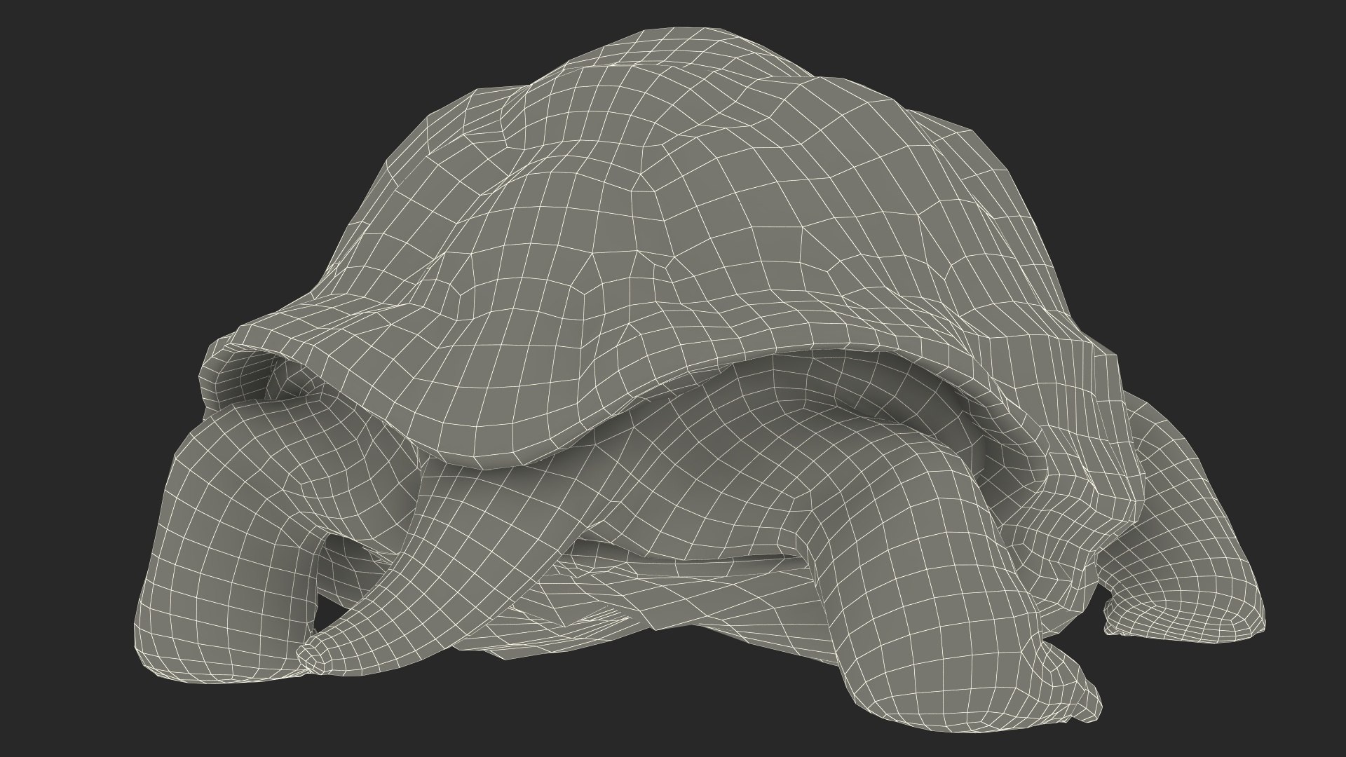 3D Giant Turtle Lying Down Pose https://p.turbosquid.com/ts-thumb/jg/Bbch7L/IW/giantturtlelyingdownpose3dmodel027/jpg/1692506035/1920x1080/fit_q87/ad102043aaa9b987f8f88369c420b9b7dd359f65/giantturtlelyingdownpose3dmodel027.jpg