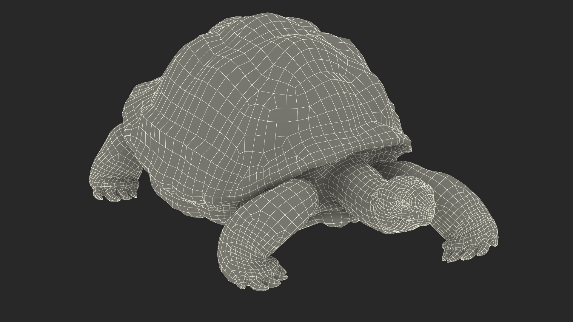 3D Giant Turtle Lying Down Pose https://p.turbosquid.com/ts-thumb/jg/Bbch7L/X5/giant_turtle_lying_down_pose_361/jpg/1692505733/1920x1080/turn_fit_q99/465ea60f8f1f6527a2c2c6055b5e0bf5691cfdff/giant_turtle_lying_down_pose_361-1.jpg