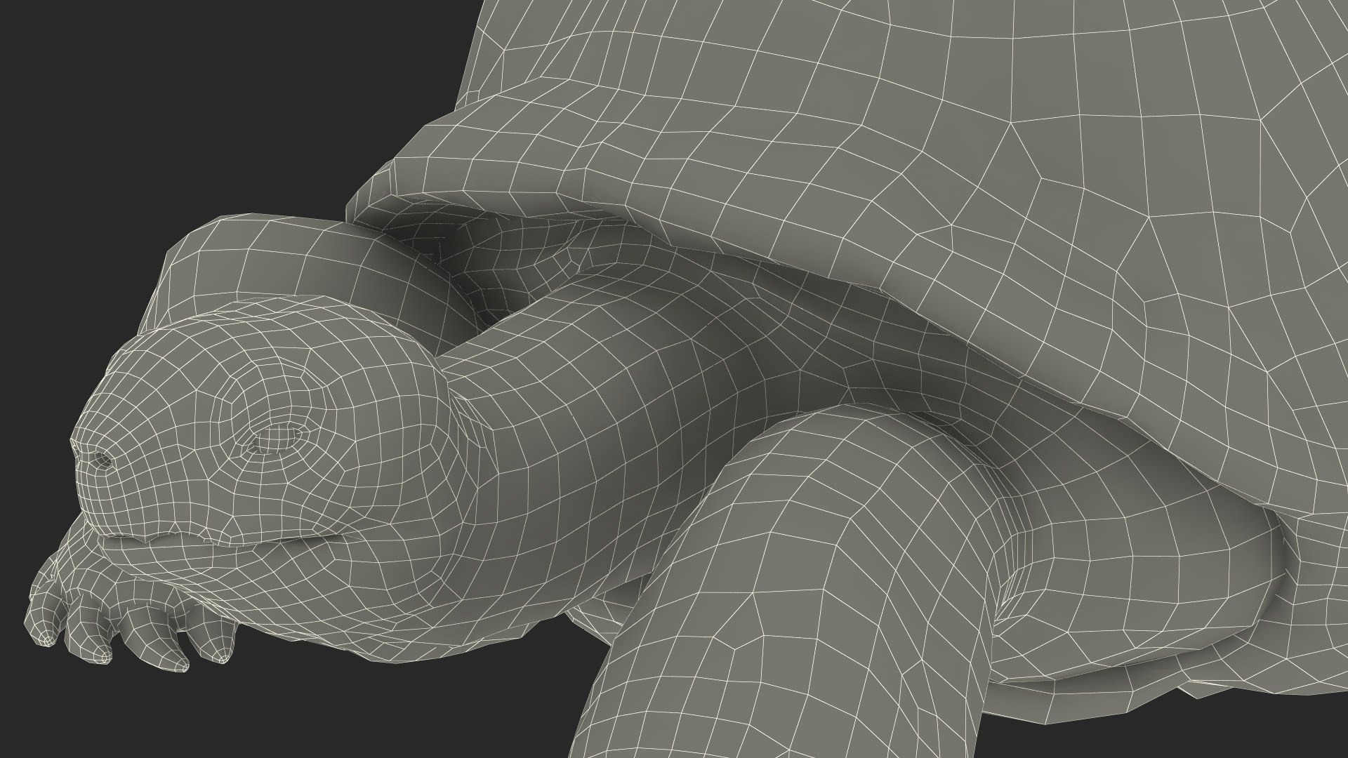 3D Giant Turtle Lying Down Pose https://p.turbosquid.com/ts-thumb/jg/Bbch7L/dO/giantturtlelyingdownpose3dmodel030/jpg/1692506048/1920x1080/fit_q87/f1d2b3ab6b328d41e814cdf05be7013a5654944c/giantturtlelyingdownpose3dmodel030.jpg