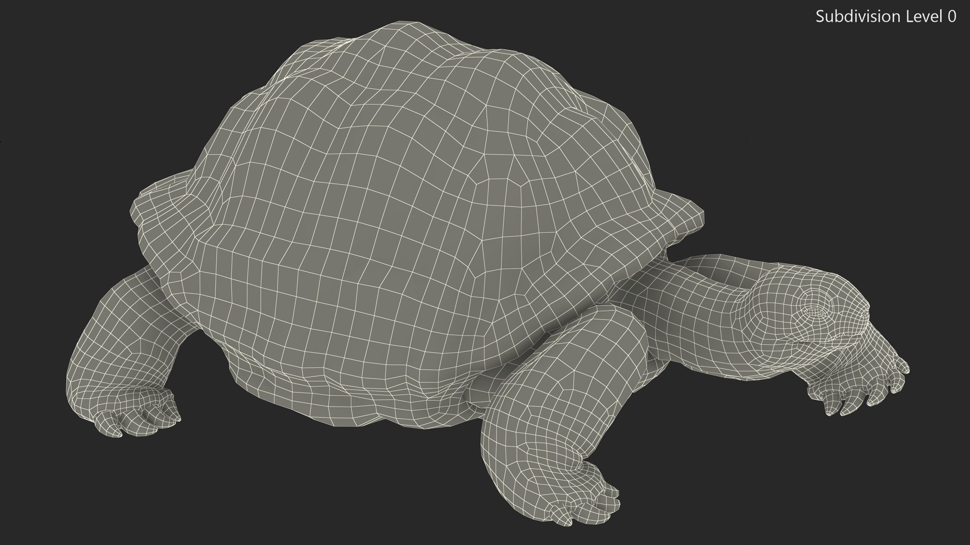 3D Giant Turtle Lying Down Pose https://p.turbosquid.com/ts-thumb/jg/Bbch7L/eD/giantturtlelyingdownpose3dmodel017/jpg/1692505997/1920x1080/fit_q87/92db96d2bbb7d6ac79d466a6ebc1d92fa2b46b12/giantturtlelyingdownpose3dmodel017.jpg