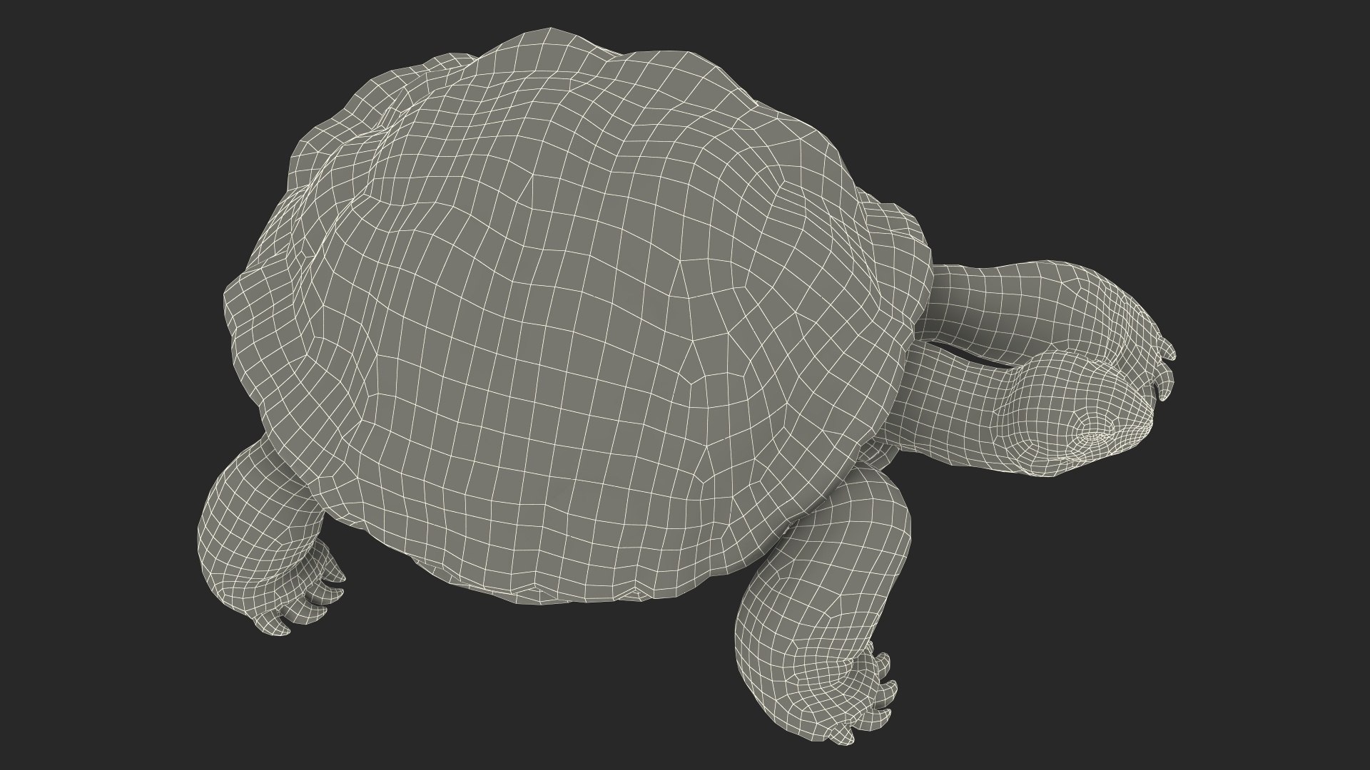 3D Giant Turtle Lying Down Pose https://p.turbosquid.com/ts-thumb/jg/Bbch7L/mW/giantturtlelyingdownpose3dmodel028/jpg/1692506039/1920x1080/fit_q87/0db37a1c7d65d0532b3ae8ffdf2e53721cdcc387/giantturtlelyingdownpose3dmodel028.jpg