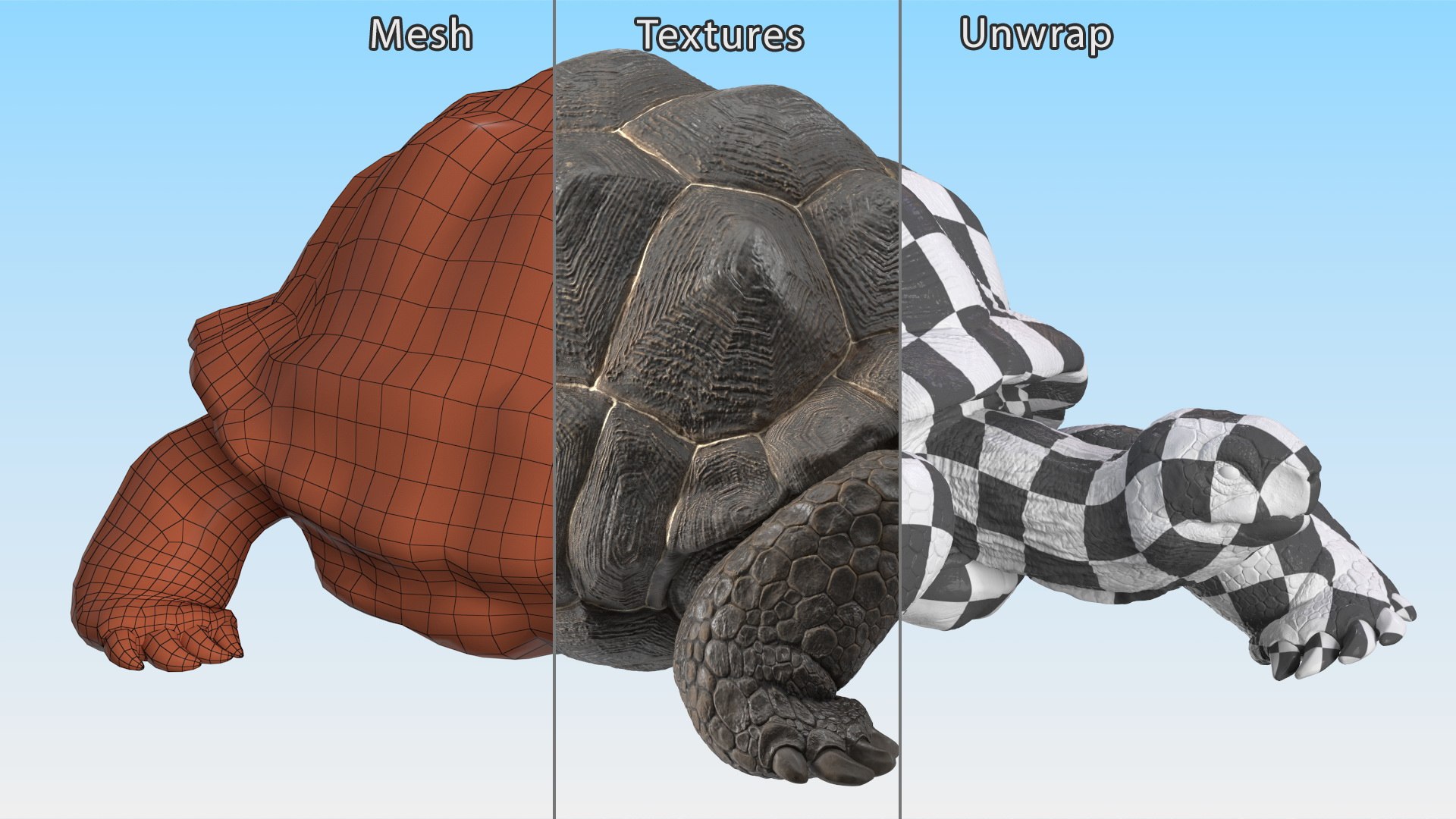 3D Giant Turtle Lying Down Pose https://p.turbosquid.com/ts-thumb/jg/Bbch7L/pK/giantturtlelyingdownpose3dmodel016/jpg/1692505994/1920x1080/fit_q87/81557db9b5c3ed0e1359006ebced0fa86d633397/giantturtlelyingdownpose3dmodel016.jpg