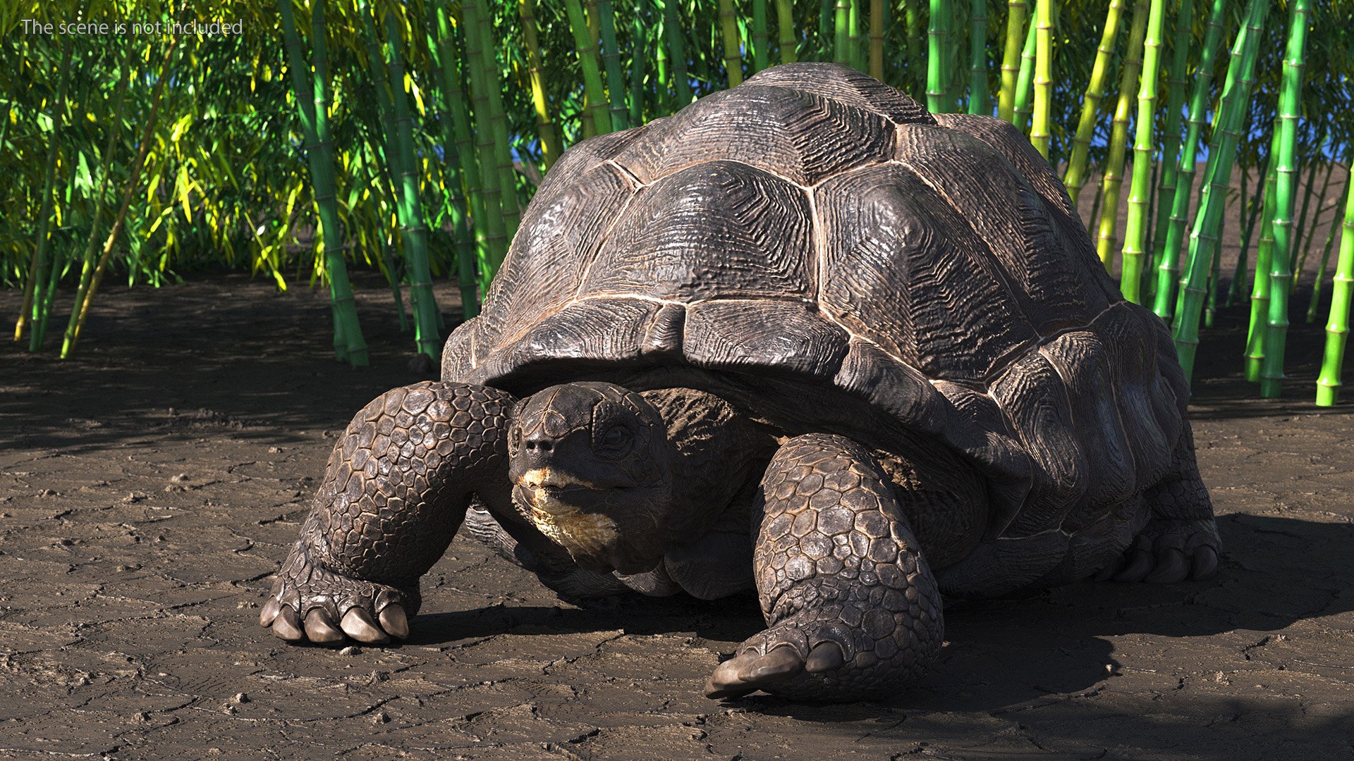 3D Giant Turtle Lying Down Pose https://p.turbosquid.com/ts-thumb/jg/Bbch7L/rq/giantturtlelyingdownpose3dmodel003/jpg/1692505945/1920x1080/fit_q87/6389c42e6789a186ff0f834e1a4ccf8391f1e240/giantturtlelyingdownpose3dmodel003.jpg
