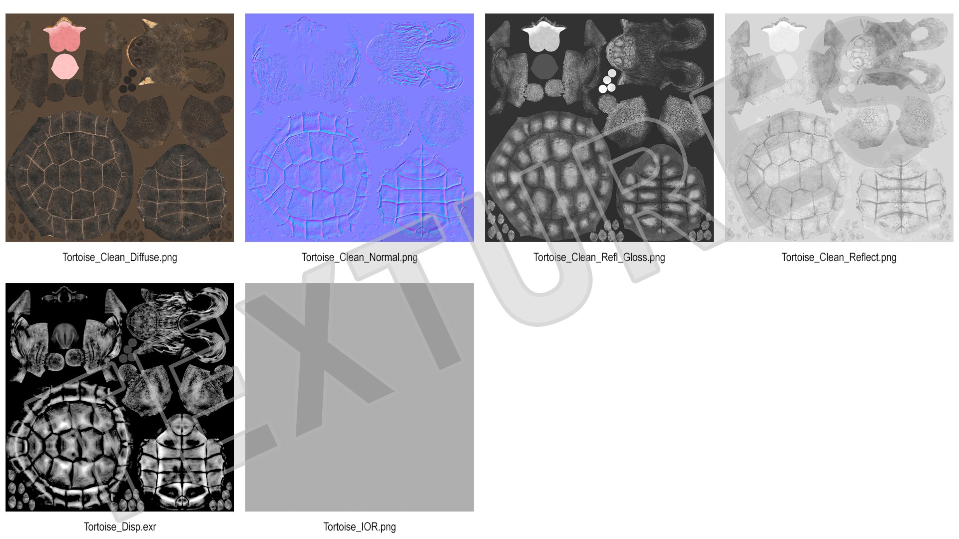 3D Giant Turtle Lying Down Pose https://p.turbosquid.com/ts-thumb/jg/Bbch7L/u3/giantturtlelyingdownpose3dmodel020/jpg/1692506009/1920x1080/fit_q87/dbea9028cb8e087e9e3d78058d693a4f70430415/giantturtlelyingdownpose3dmodel020.jpg