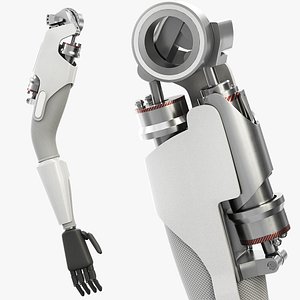 Autonomous Robot Arm Assembly 3D model