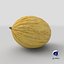 3D Yellow Melon