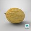 3D Yellow Melon