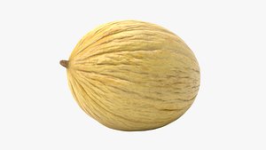 3D Yellow Melon