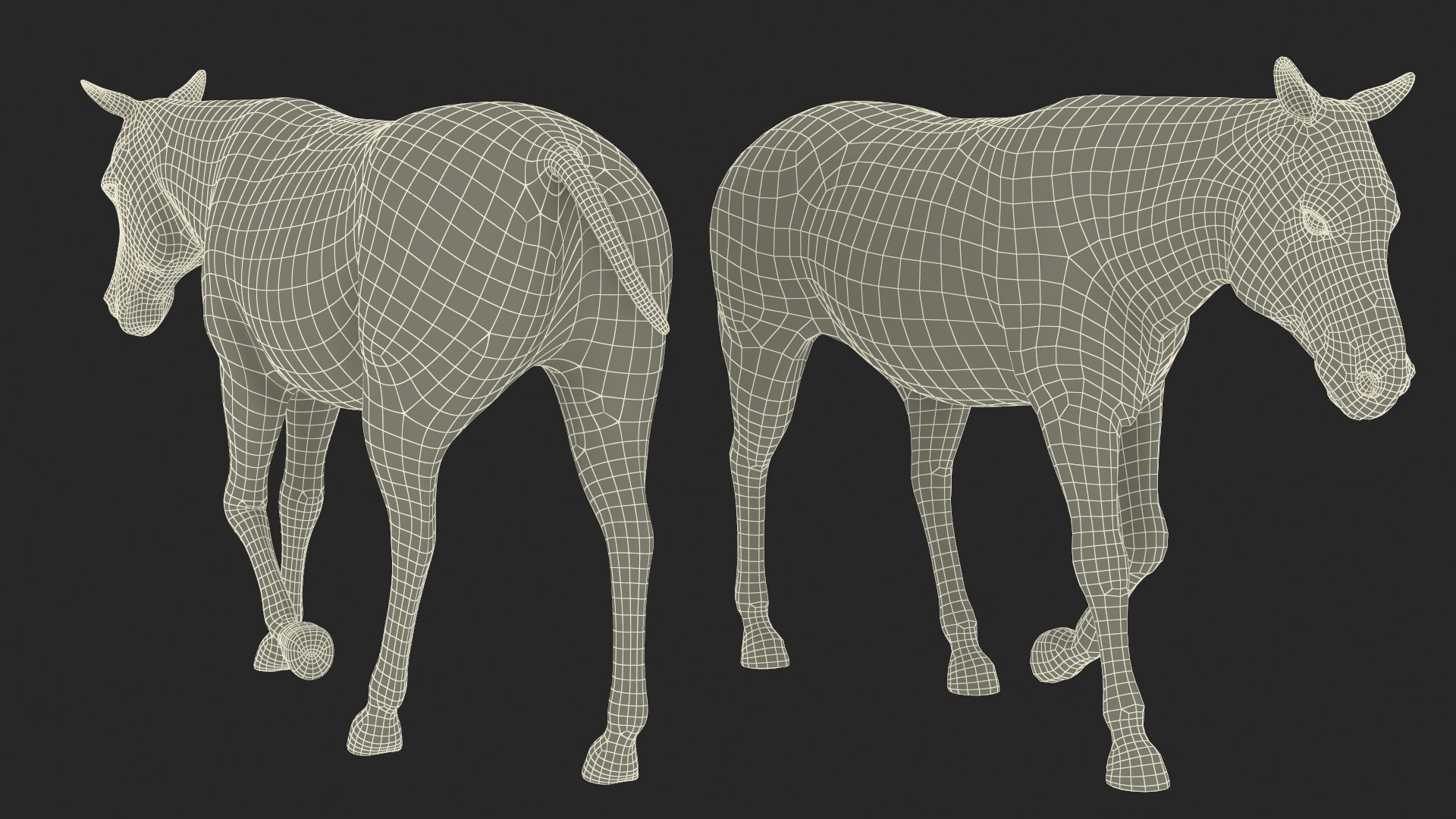 African Zebra Walking 3D https://p.turbosquid.com/ts-thumb/jg/E2ZLTC/25/african_zebra_walking_019/jpg/1740184441/1920x1080/fit_q87/ab530fe7f34fb14057036c1dfb5dc76dfa9f2105/african_zebra_walking_019.jpg