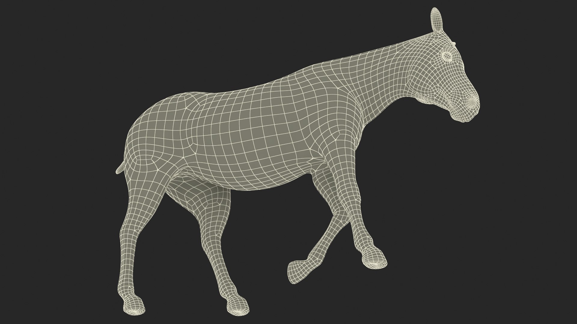 African Zebra Walking 3D https://p.turbosquid.com/ts-thumb/jg/E2ZLTC/6m/african_zebra_walking_018/jpg/1740184437/1920x1080/fit_q87/8f096e7ff53787c31d8f8339ca87eba46cba8525/african_zebra_walking_018.jpg