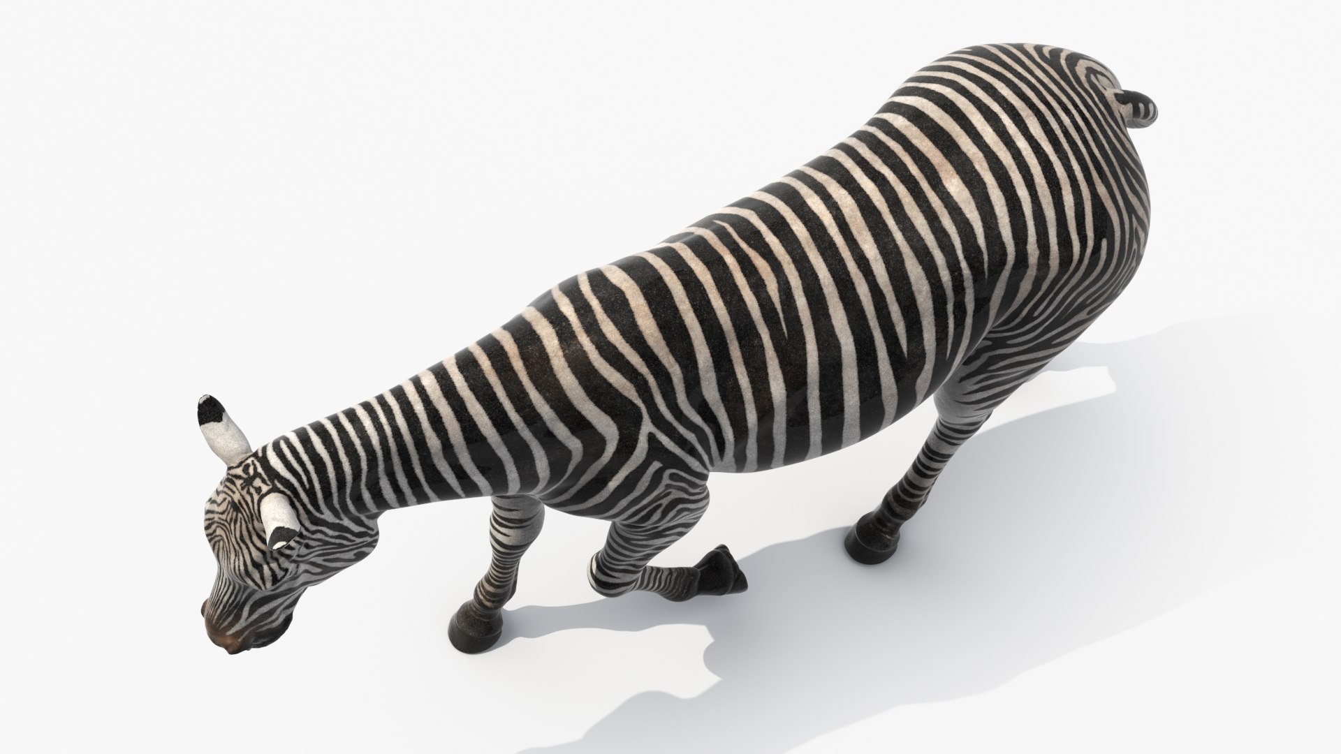 African Zebra Walking 3D https://p.turbosquid.com/ts-thumb/jg/E2ZLTC/AJ/african_zebra_walking_007/jpg/1740184385/1920x1080/fit_q87/4d85d9075c90a0c474bc4660491d22cfe211ebda/african_zebra_walking_007.jpg