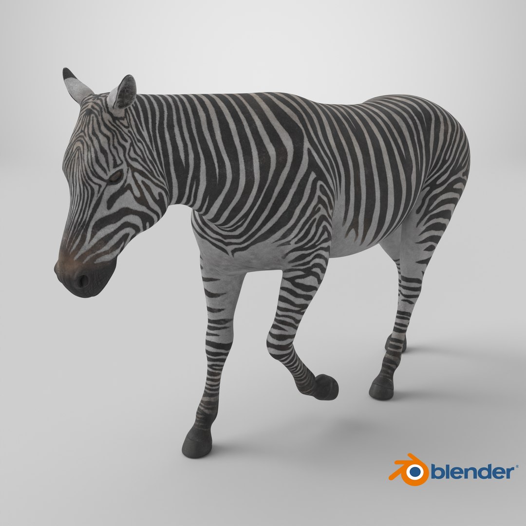 African Zebra Walking 3D https://p.turbosquid.com/ts-thumb/jg/E2ZLTC/C1/stemcell_blender_cycles_render/png/1743359857/1920x1080/fit_q87/55eaf5f9997a6464c4f23f23827ed68df2e30c77/stemcell_blender_cycles_render.jpg