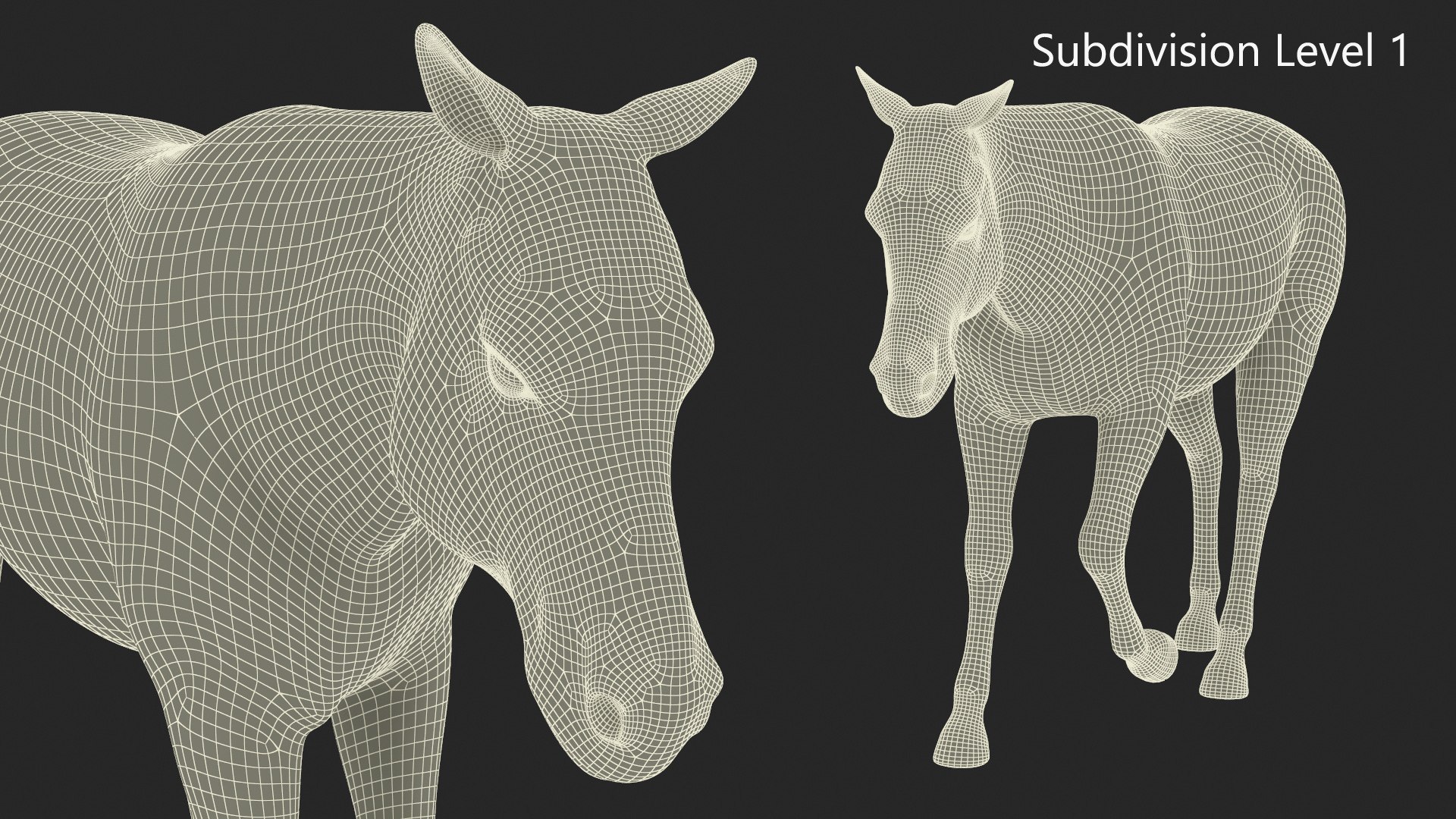 African Zebra Walking 3D https://p.turbosquid.com/ts-thumb/jg/E2ZLTC/di/african_zebra_walking_013/jpg/1740184414/1920x1080/fit_q87/b5ab2bd958b76aeb0fe9270058650dd85b4db8a3/african_zebra_walking_013.jpg