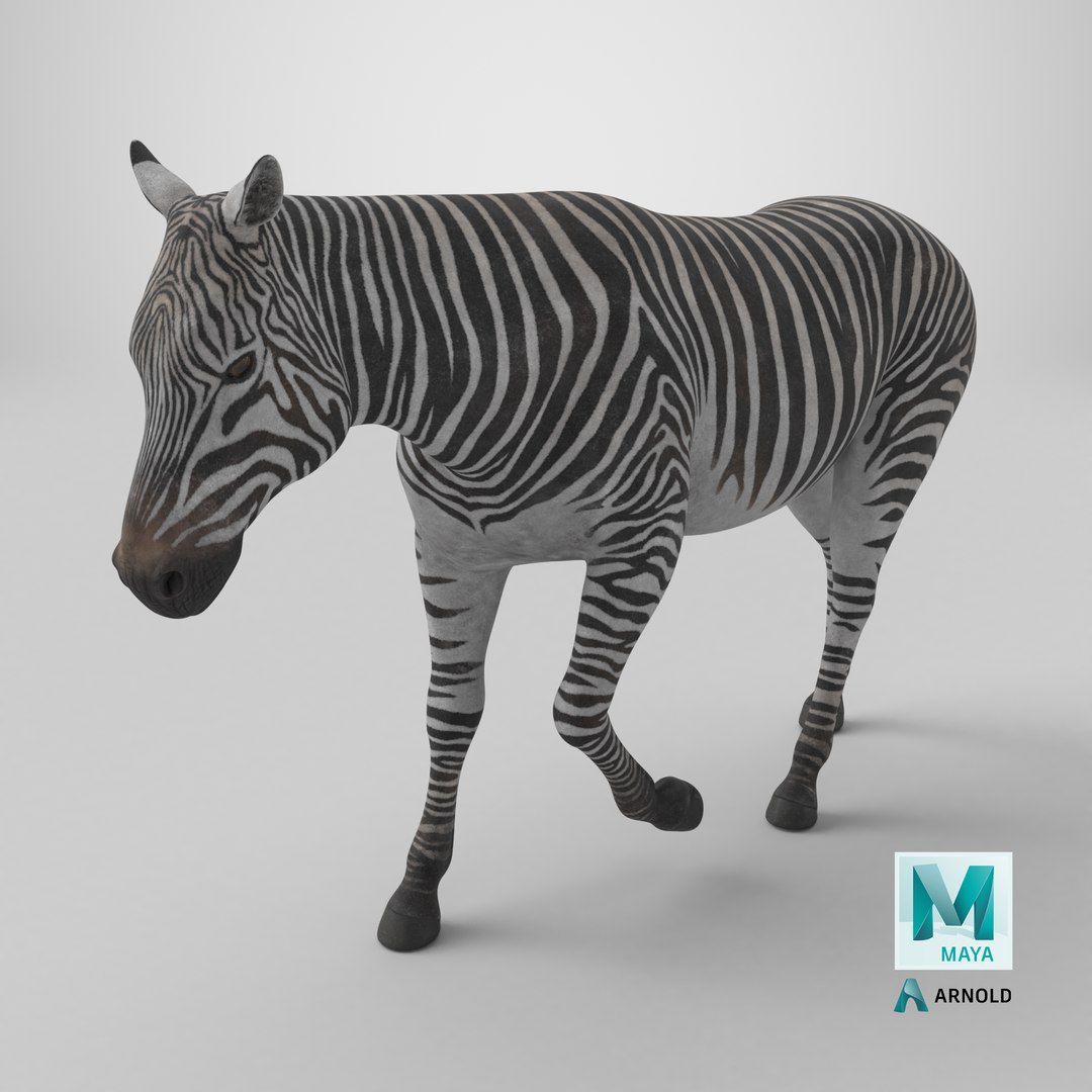 African Zebra Walking 3D https://p.turbosquid.com/ts-thumb/jg/E2ZLTC/iP/stemcell_maya_arnold_render/png/1743359859/1920x1080/fit_q87/670ea086b888a73a3c45287bdc6b8ca62a7be4e5/stemcell_maya_arnold_render.jpg