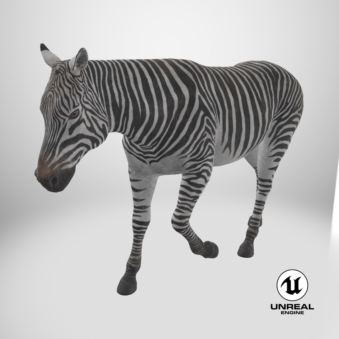 African Zebra Walking 3D https://p.turbosquid.com/ts-thumb/jg/E2ZLTC/ti/stemcell_unreal_render/png/1743359868/1920x1080/fit_q87/39a01e1da4473875f7bd2fa1a11b6ff6d8b3cb8c/stemcell_unreal_render.jpg