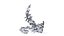 Fish Leaping and Birds Flying