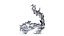 Fish Leaping and Birds Flying