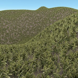 3D model grass plant
