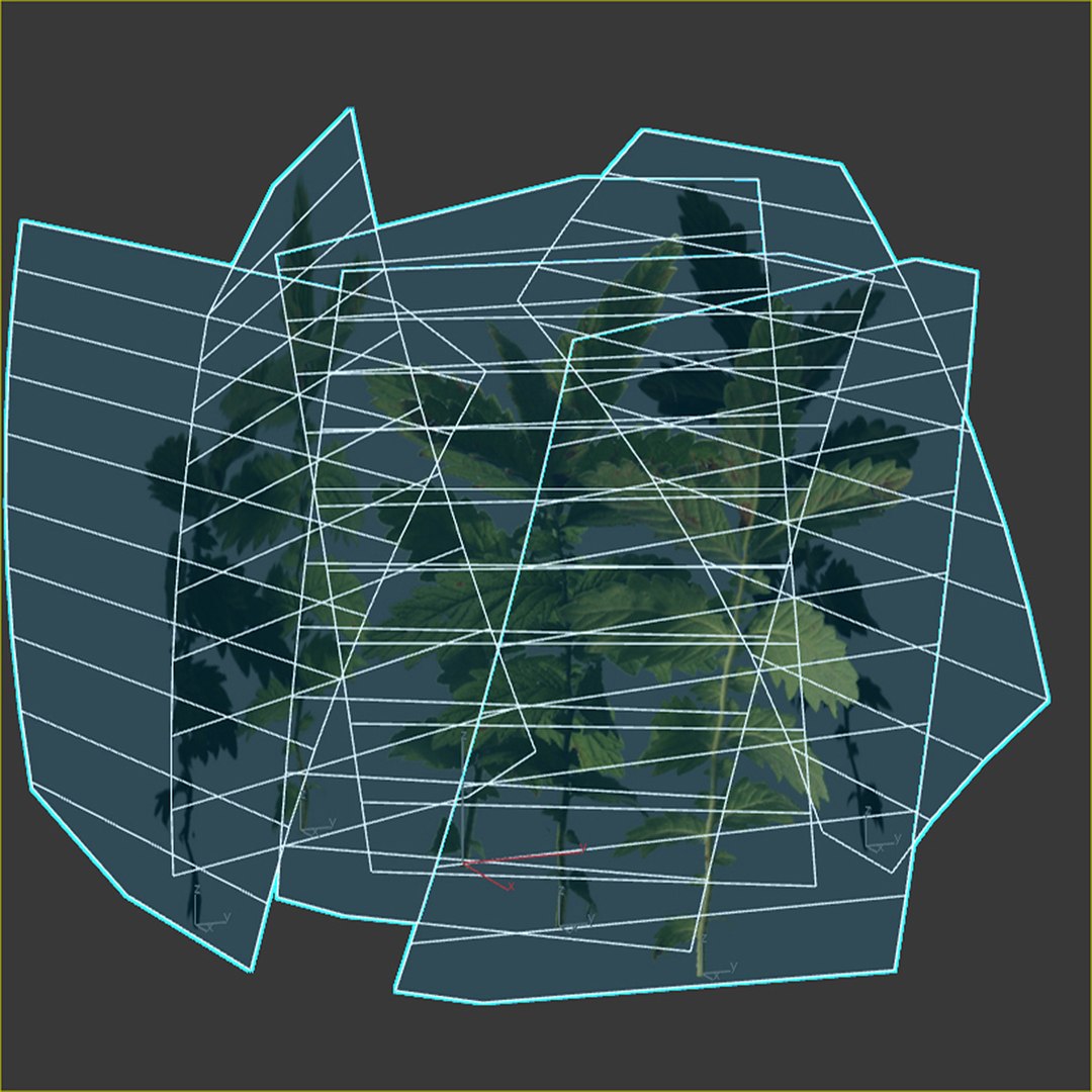3D model grass plant https://p.turbosquid.com/ts-thumb/jg/N543I1/iT/2/jpg/1613333570/1920x1080/fit_q87/7f1edd8ee6f6478b6f3f2a4d31a2914dd2fb8b41/2.jpg