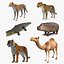 Collection Animaux d'Afrique 3