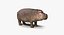 Collection Animaux d'Afrique 3